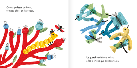 Pack Cancionero